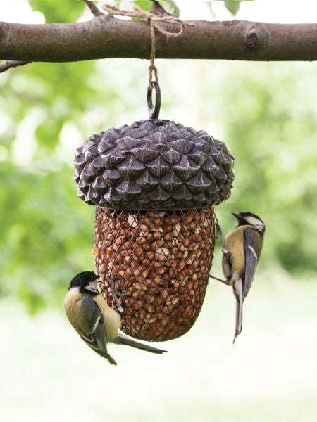 A National Trust ceramic teal Vierno Drinker with Great Tit