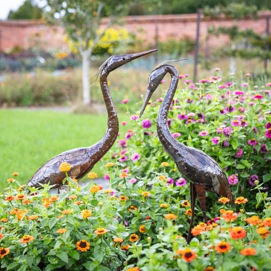 National Trust metal feathered Heron Sculptures in a garden setting. One has it's neck in a down pose and one is facing up