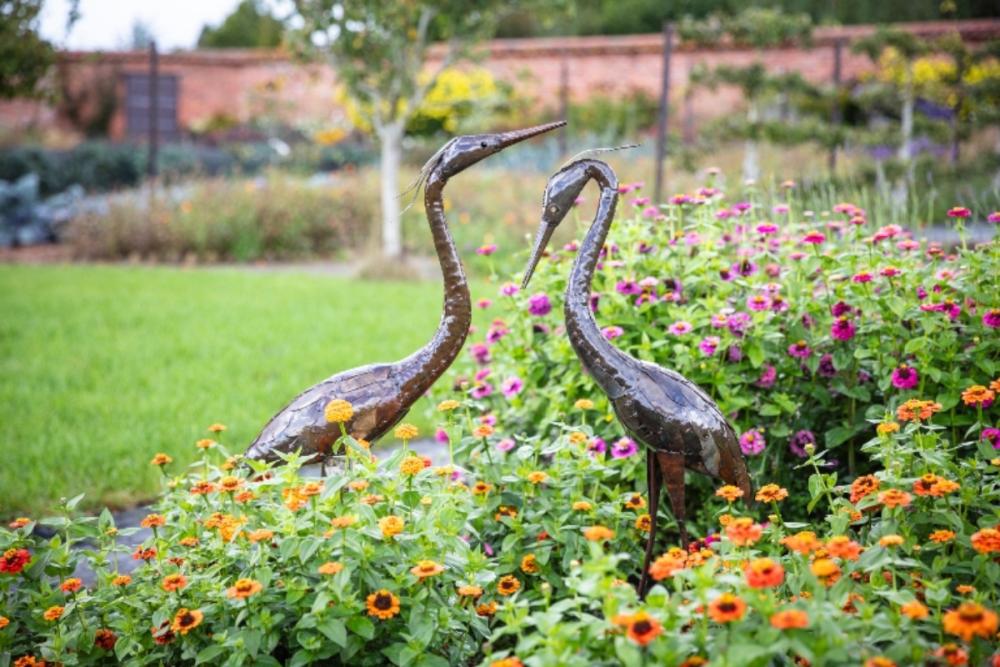 National Trust recycled metal heron sculpture displayed in a garden boarder with orange flowers.