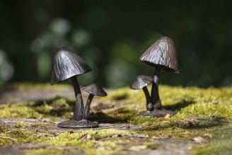 Garden Products & Tools | Eco-Friendly Outdoor Range | National