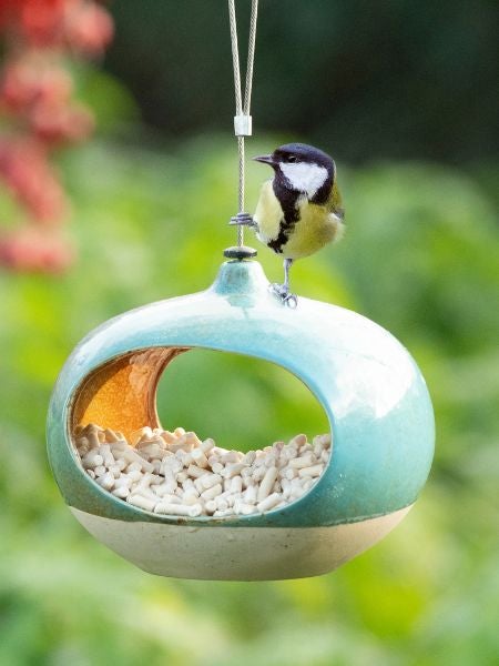 A bird on a ceramic blue National Trust CJ Wildlife Vierno Diner Seed Feeder