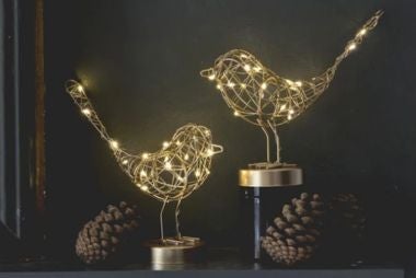 National Trust Christmas Lighting