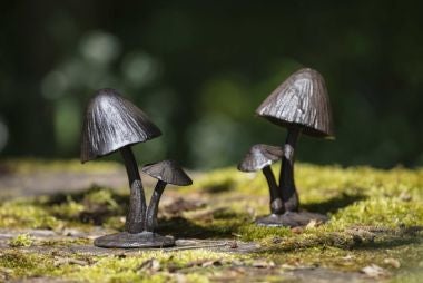 Garden decor