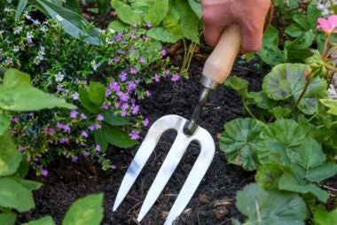 National Trust garden tools