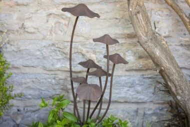 National Trust Plant stakes