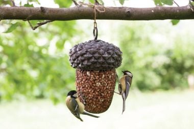 National Trust wildlife garden ideas