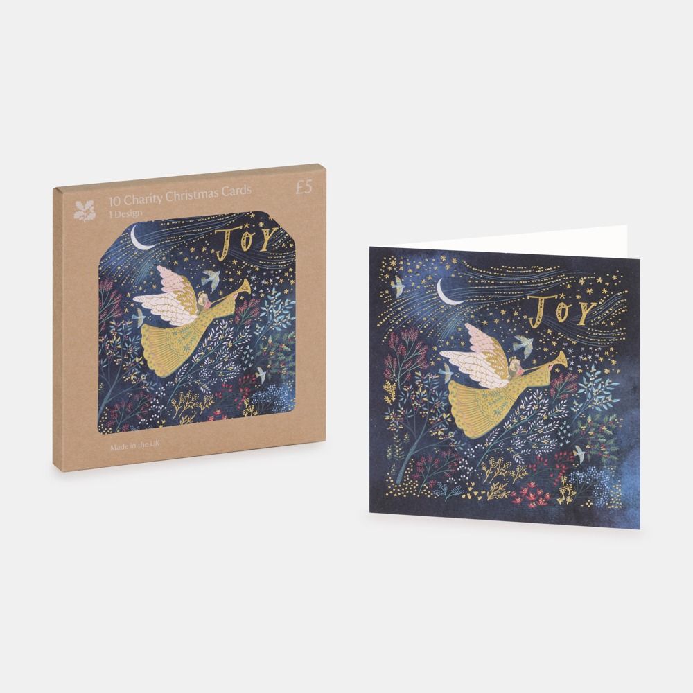 National Trust Joy Christmas Cards Box of 10