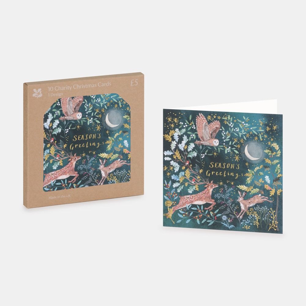 National Trust Forest Friends Christmas Cards Box of 10