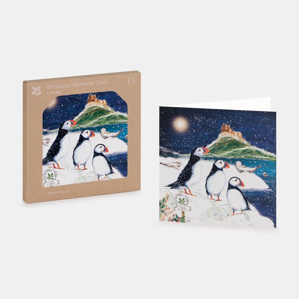 National Trust Puffins on the Farne Islands Christmas Cards Box of 10