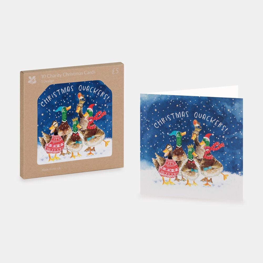 National Trust Christmas Quackers Christmas Cards Box of 10