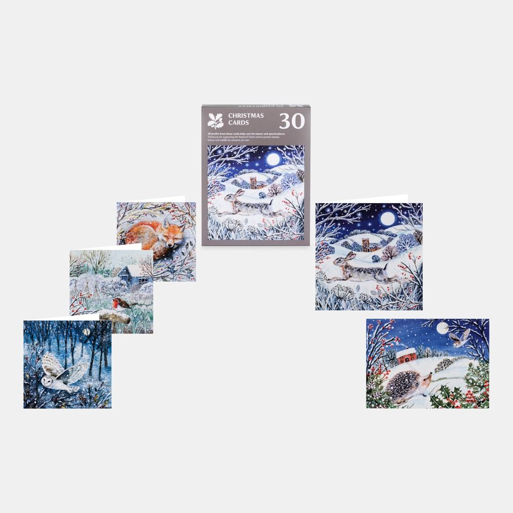 National Trust Illustrated Christmas Cards Value Pack of 30