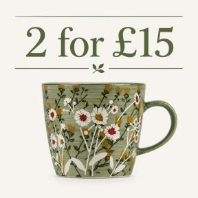 2 green wild daisy mugs for £15