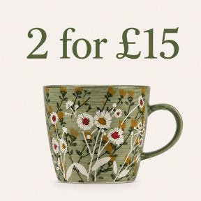 2 green wild daisy mugs for £15