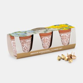 Indoor windowsill flower growing gift set displayed against a light background, featuring three terracotta plant pots decorated with a white floral tile-inspired pattern and presented in a cardboard sleeve. The packaging is topped with images of spring fl