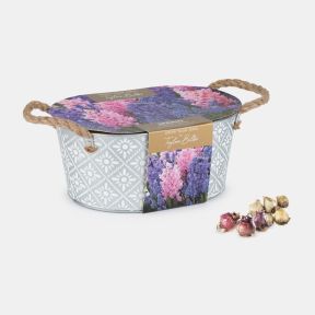 Indoor windowsill flower growing gift set displayed against a light background, featuring three terracotta plant pots decorated with a white ornamental tile-inspired pattern. The pots are presented in a cardboard sleeve with cut-out windows that reveal ea