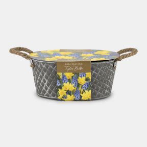 Outdoor Trough, Muscari & Tete a Tete