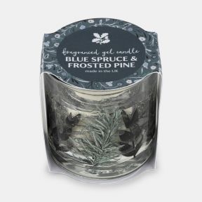 National Trust Gel Candle Blue Spruce and Frosted Pine