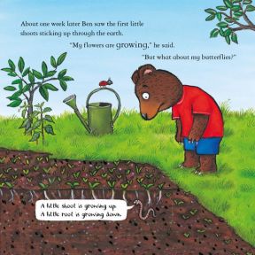 Ben Plants a Butterfly Garden Hardback