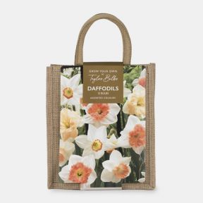Jute Gift Bag, Daffodil Mix