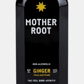 Mother Root Ginger Switchel