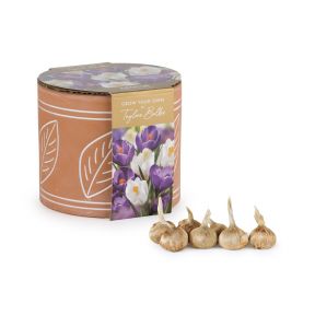 Indoor Planter Leaf Terracotta, Crocus