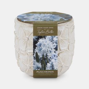 Indoor Planter Floral Embossed, Puschkinia