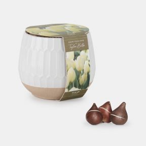 Indoor Ceramic Planter, Tulips