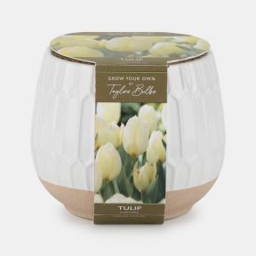 Indoor Ceramic Planter, Tulips