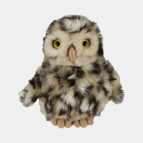 Living Nature Little Owl