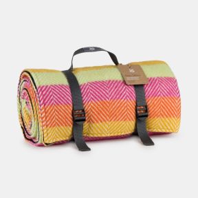 National Trust Rainbow Brights Waterproof Backed Picnic Blanket