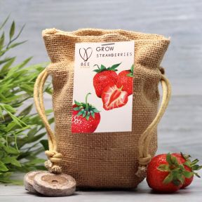 BEEcycle Strawberry Jute Bag