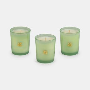 National Trust Boxed Candle Gift Set, Blossom