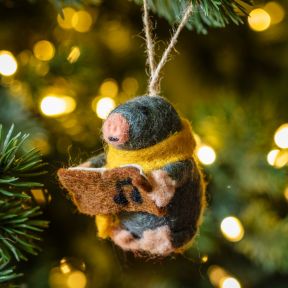 Felt So Good Carol Singing Mole