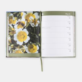 National Trust Desk Diary 2027