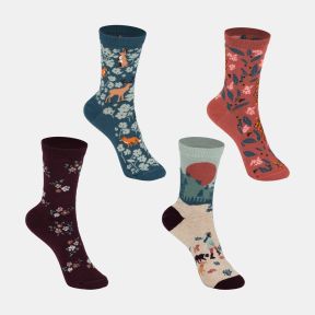 Woodland Walks Organic Cotton Sock Gift Set 4-7