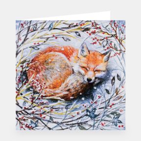 National Trust Illustrated Christmas Cards Value Pack of 30