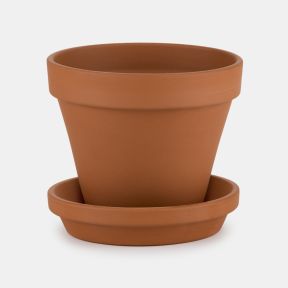 Lidded Terracotta Planter, Rose Angel Wings