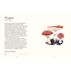 The Fungi Spotters Guide