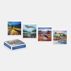 Collection of 20 Beneath the Wide Skies notecards with envelopes, displayed alongside four landscape-themed card designs featuring countryside scenes, wetlands with birds, a windmill by a river, and a coastal harbour town, presented with the branded stora