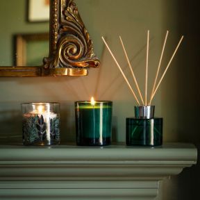National Trust Boxed Candle Blue Spruce and Frosted Pine