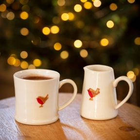 Ceramic Mini Robin Jug 