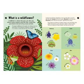 National Trust Out and About: Wildflower Spotter