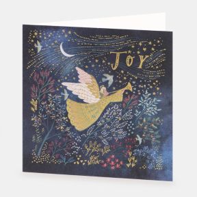 National Trust Joy Christmas Cards Box of 10