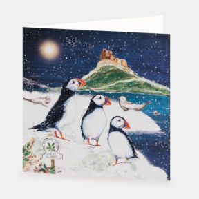National Trust Puffins on the Farne Islands Christmas Cards Box of 10