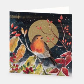 National Trust Winter Robin Christmas Cards Box of 10