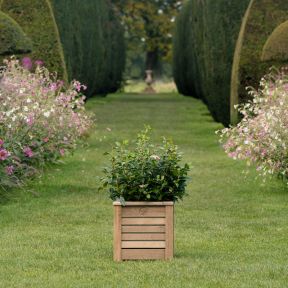 Gaze Burvill National Trust Planter 46cm