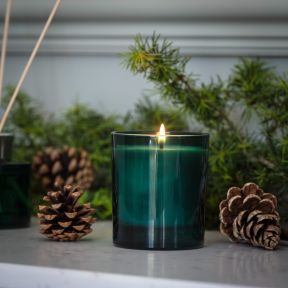 National Trust Boxed Candle Blue Spruce and Frosted Pine