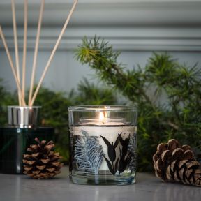 National Trust Gel Candle Blue Spruce and Frosted Pine