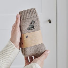 Sweet William Walking Socks, Cockapoo Dog