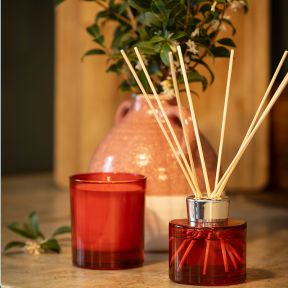 National Trust Reed Diffuser, Orange and Cedarwood